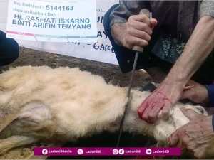 Doa Menyembelih Hewan Qurban dalam Berbagai Riwayat