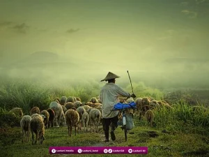 Memahami Hakikat Rezeki dan Ajal