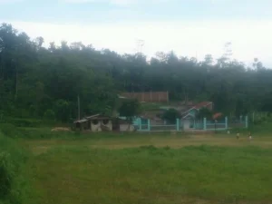 Pesantren Tarbiyatul Wildan Nihayatul Amal Hubbul Qur'an Sumedang