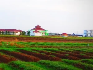 Pesantren Nurul Hayah Brebes