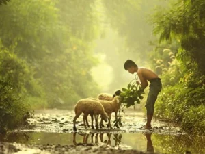 Kisah Nabi Musa dan Si Penggembala Kambing