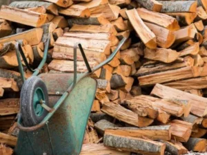 Kisah Seorang Wali Pencari Kayu Bakar