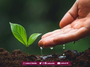 Jangan Meremehkan Kebaikan Kecil!