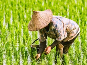 Kisah Pengorbanan Seorang Kakak untuk Adik-Adiknya Menjadi Sukses