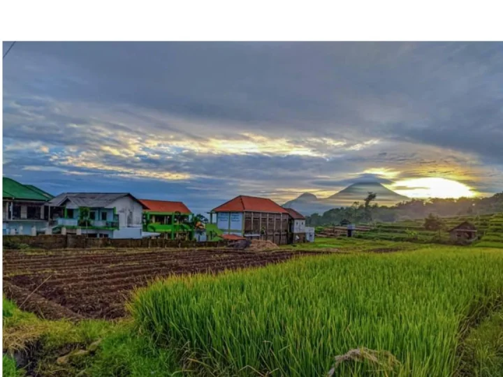 Pesantren Amanatul Qur'an, Baraan, Mojokerto