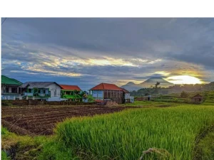 Pesantren Amanatul Qur'an, Baraan, Mojokerto