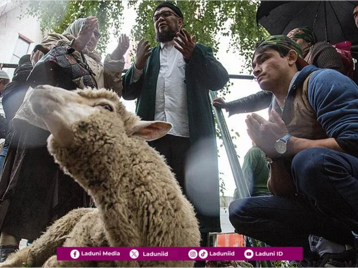 Memperhatikan Bacaan Niat Ibadah Qurban