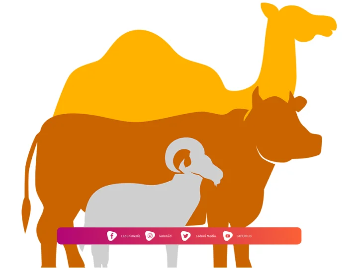 Larangan Saat Berqurban Penting untuk Diketahui