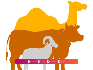 Larangan Saat Berqurban Penting untuk Diketahui