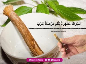Faedah Siwak dan Penjelasannya