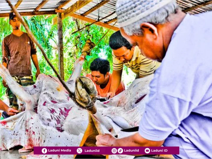 Ibadah Qurban dan Perilaku Sosial Keagamaan