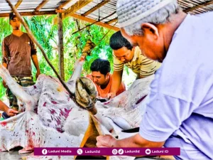 Ibadah Qurban dan Perilaku Sosial Keagamaan