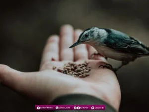 Pahala Meneladani Sifat Maha Pengasih Allah