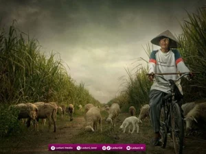 Khutbah Jumat: Meniti Kebaikan Hidup dengan Sabar dan Syukur