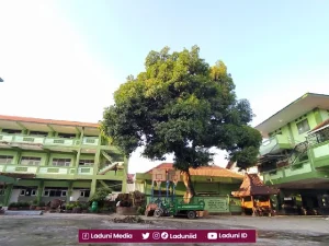 Ziarah di Makam KH. Fathurrahman Abu Said, Muasis Pesantren Manbail Futuh Tuban