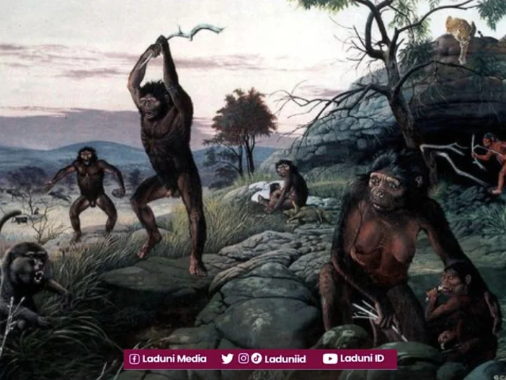 Benarkah Manusia Berasal dari Ras Kera (Australopithecus)?