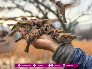 Tentang Anjuran Menebarkan Kasih Sayang kepada Semua Makhluk