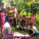 Santri Goes to Papua: Perayaan Idul Adha di Kurwato, Semangat Kurban Hingga Pelosok Papua
