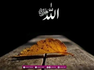 Khutbah Jumat: Meraih Keutamaan Tawakkal kepada Allah SWT