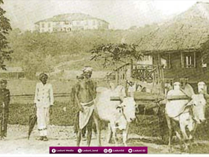 Tahun 1784: Raja Haji Fisabilillah dan Perlawanan Besar terhadap Belanda