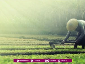 Khutbah Jumat: Antara Ikhtiar, Kerja Keras, dan Tawakkal Ada Kemajuan dan Kesuksesan