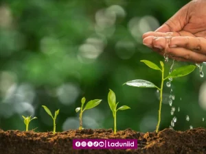 Keberkahan Sedekah yang Tidak Terjangkau oleh Logika Manusia