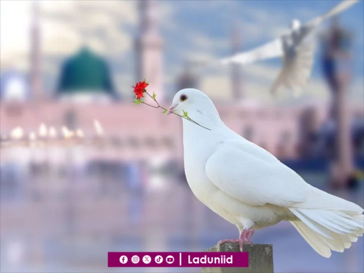 Keteladanan Rasulullah SAW dalam Membangun Kehidupan Rumah Tangga yang Romantis