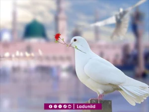Keteladanan Rasulullah SAW dalam Membangun Kehidupan Rumah Tangga yang Romantis