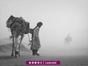 Nasihat Rasulullah SAW kepada Abu Dzar Al-Ghifari dan Seluruh Umat Islam