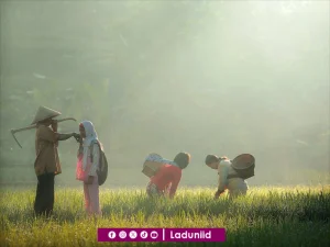 Membagi Porsi Ikhtiar dan Doa