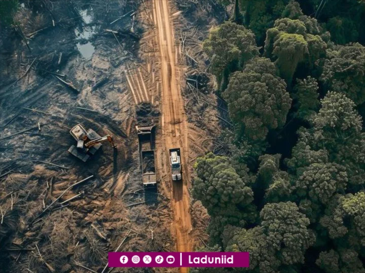 Begini Pesan Kitab Alfiyyah untuk Para Perusak Bumi