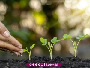 Meneguhkan Islam yang Ramah Lingkungan