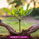 Dalam Pandangan Islam, Keseimbangan Alam adalah Amanah Besar bagi Manusia