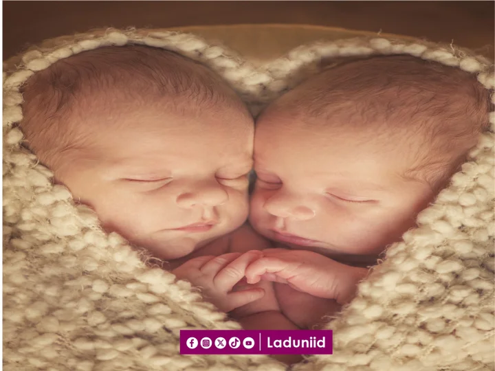 Cara Penyelenggaraan Mayit dari Salah Satu Anak Kembar Dampit