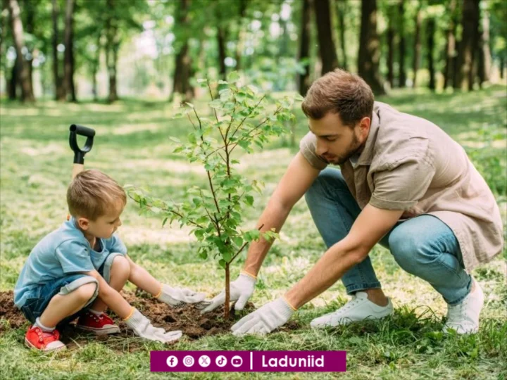 Menanam Pohon dan Hubungannya dengan Arti Menjadi Muslim Sejati