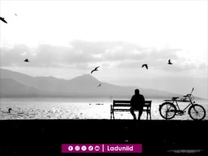 Tafakkur Kehidupan atas Kuasa Allah SWT