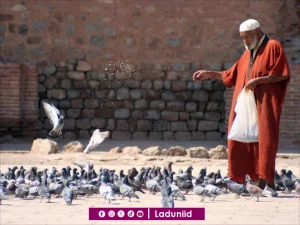 Memperhatikan dan Mengenali Dunia dengan Baik