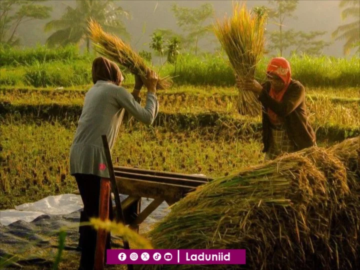 Etos Kerja Kaum Beriman