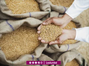 Ada Kemudahan di Balik Kesulitan